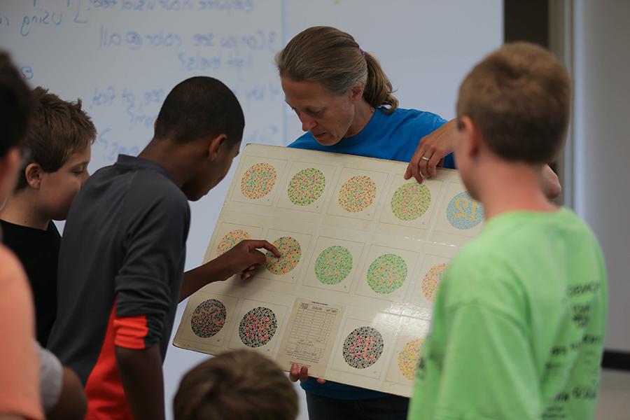 Students look at a board with cell diagrams.